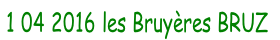 1 04 2016 les Bruyères BRUZ